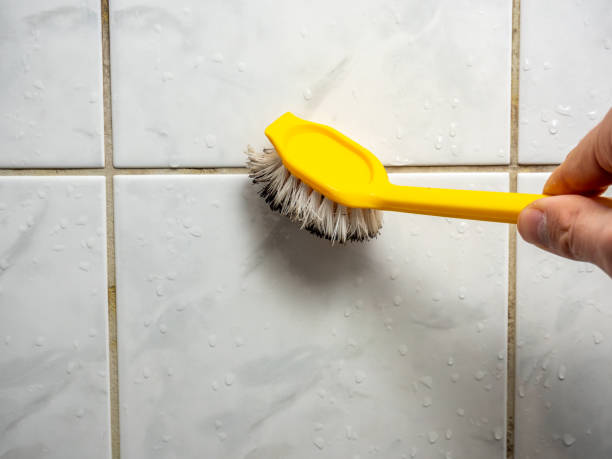 Best Emergency Mold Removal  in Oreland, PA